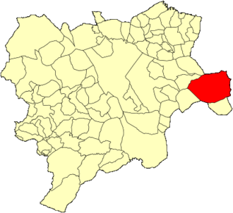 Almansa — SEO local en Almansa