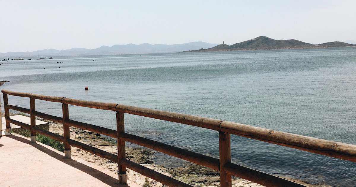 Cieza — SEO local en Cieza