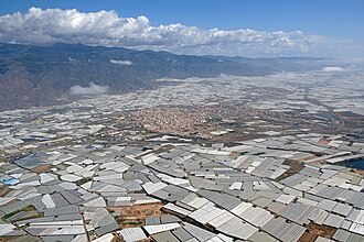 El Ejido — SEO local en El Ejido