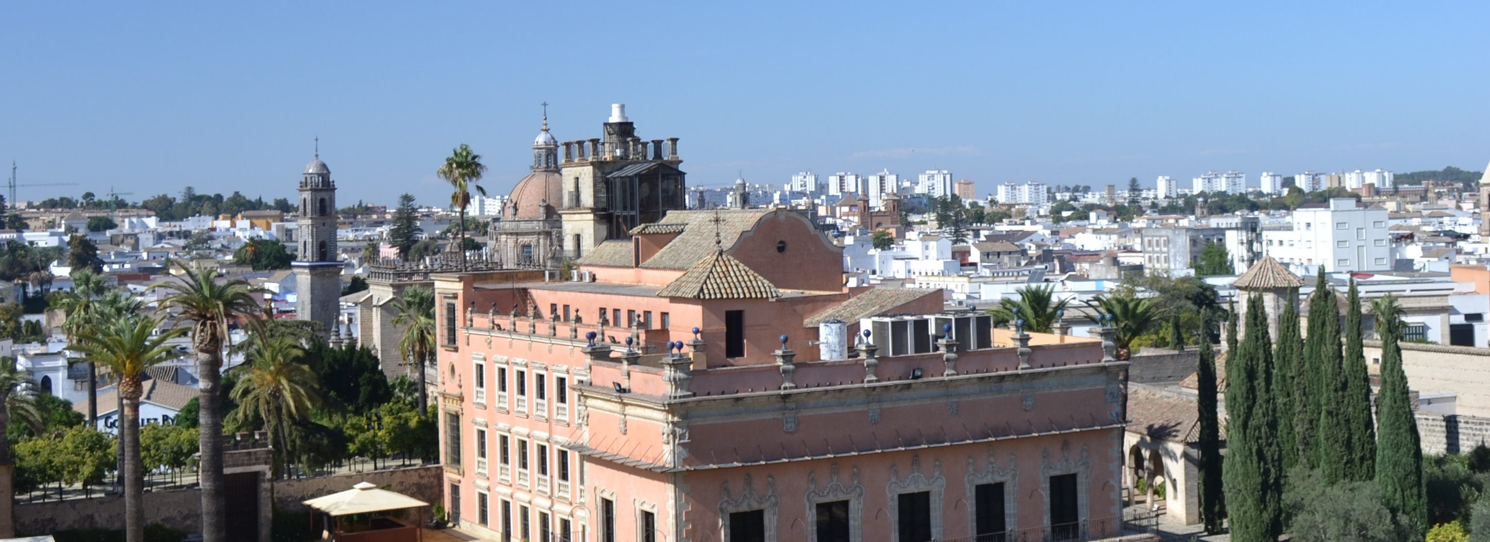 Jerez de la Frontera — SEO local en Jerez de la Frontera