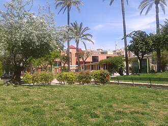 Molina de Segura — SEO local en Molina de Segura