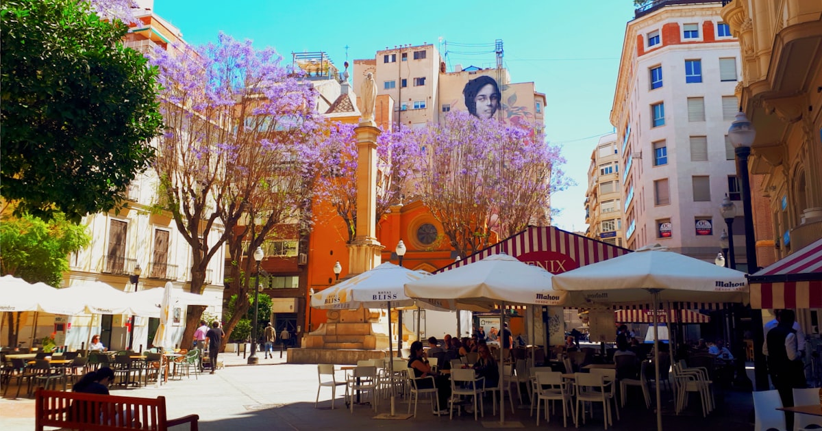 Torre-Pacheco — SEO local en Torre-Pacheco